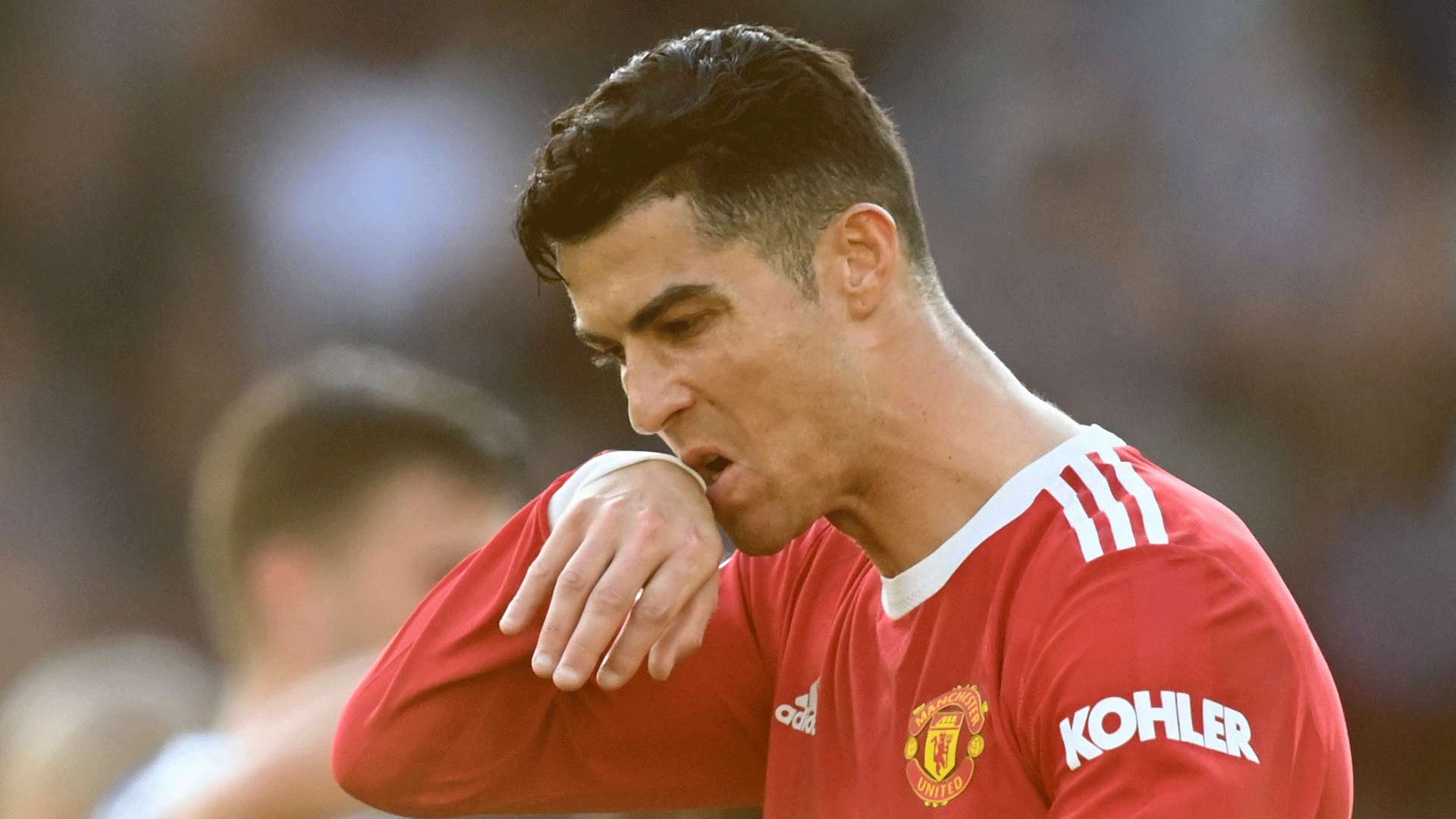 增加了巨大 增加了巨大